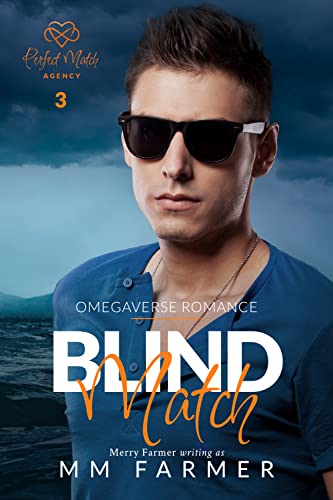 Perfect Match Agency book cover 3