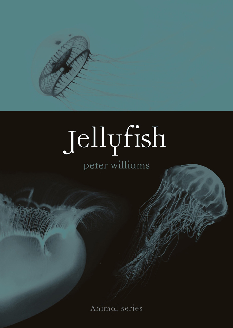 Jellyfish book cover