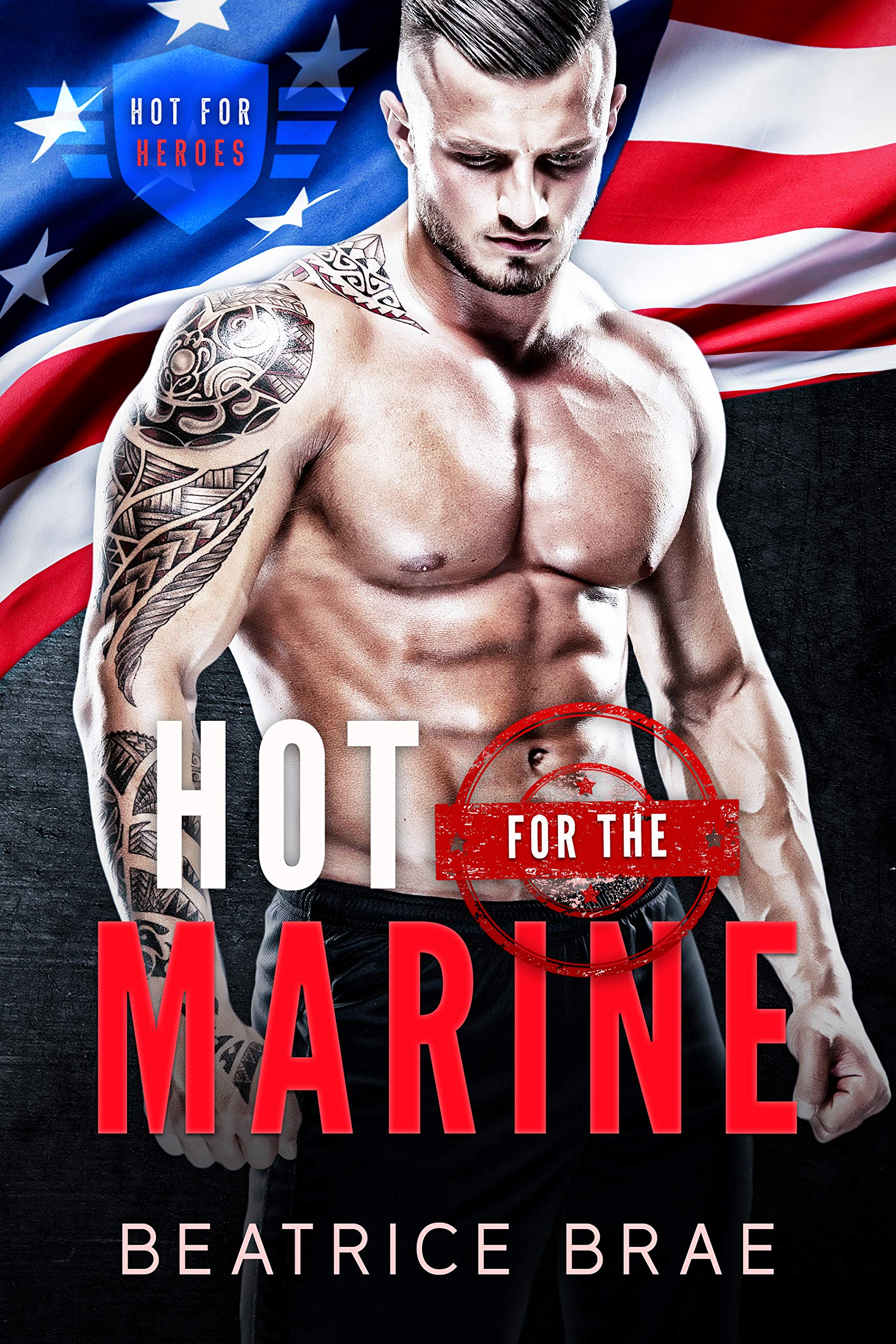 Hot for the Marine book cover