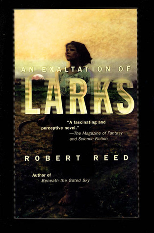 An Exaltation of Larks book cover