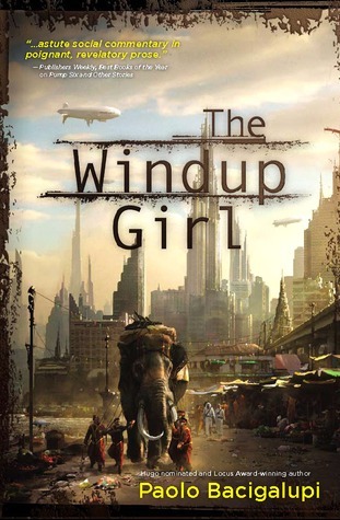 The Windup Universe book cover 1