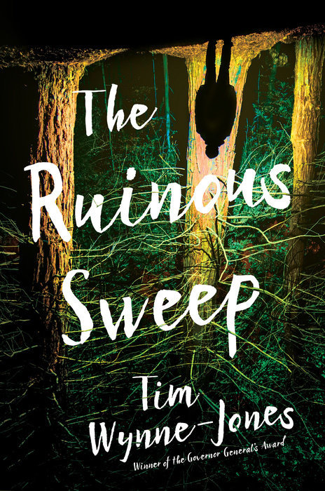 The Ruinous Sweep book cover