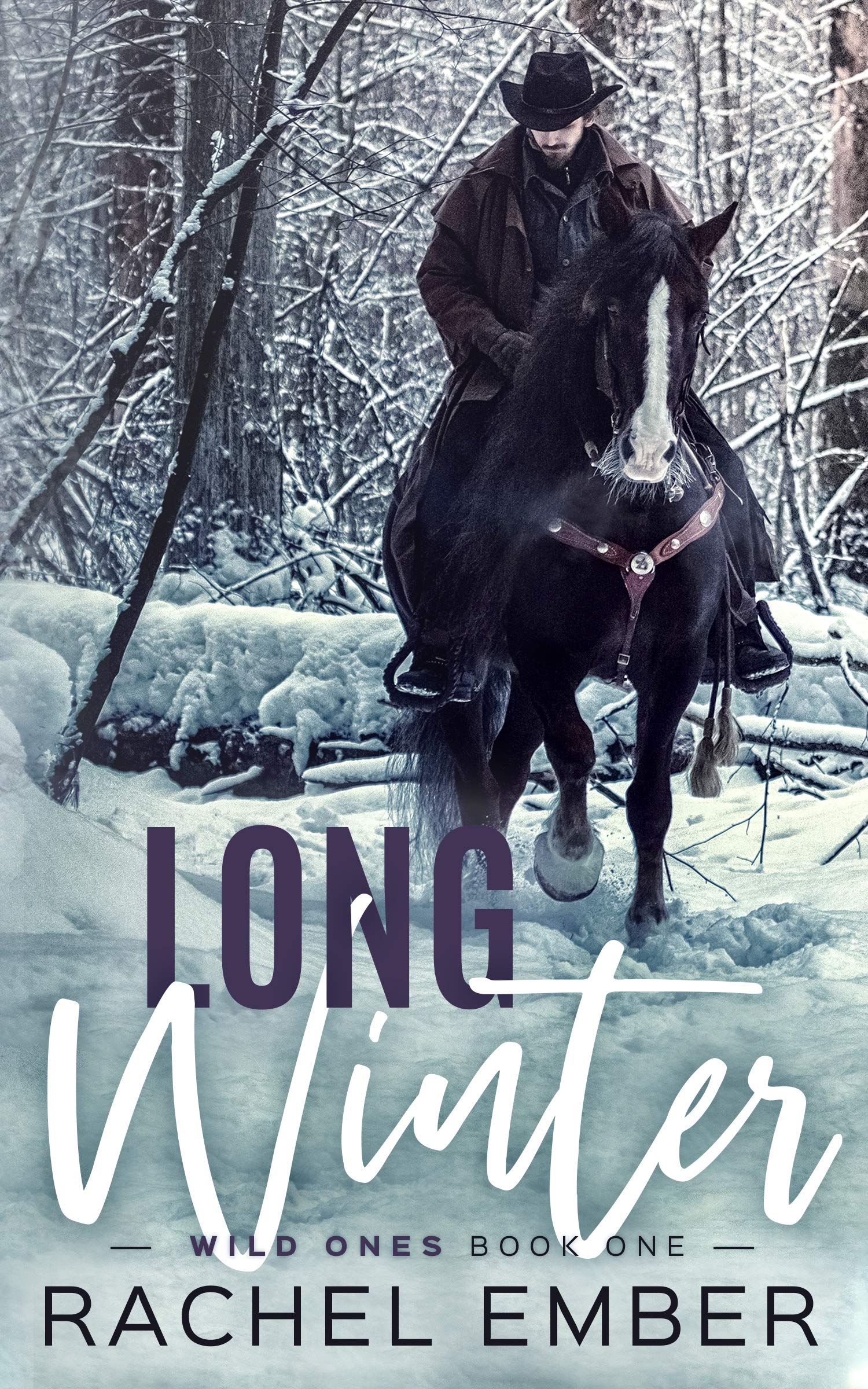 Wild Ones book cover 1