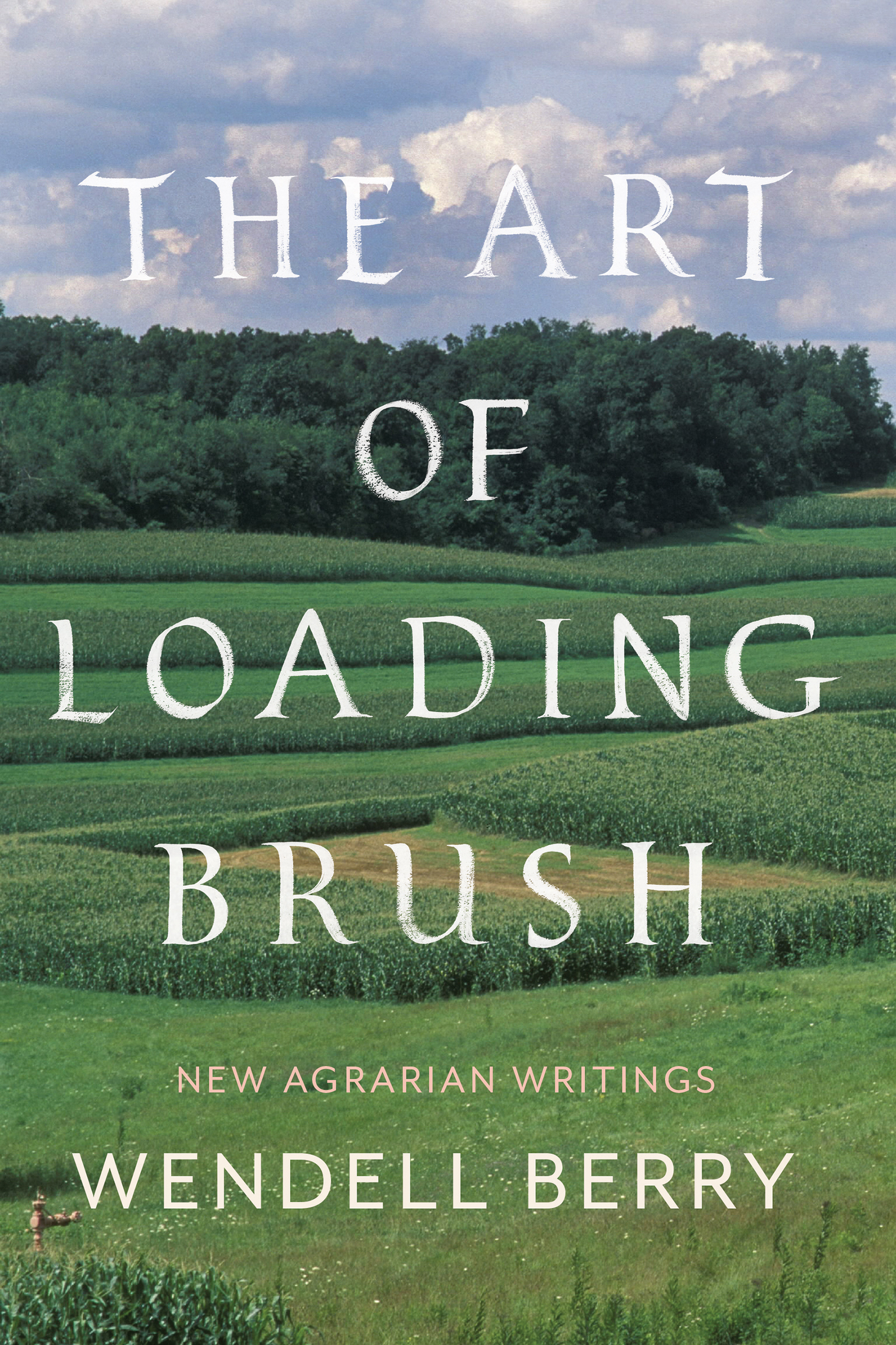 The Art of Loading Brush book cover