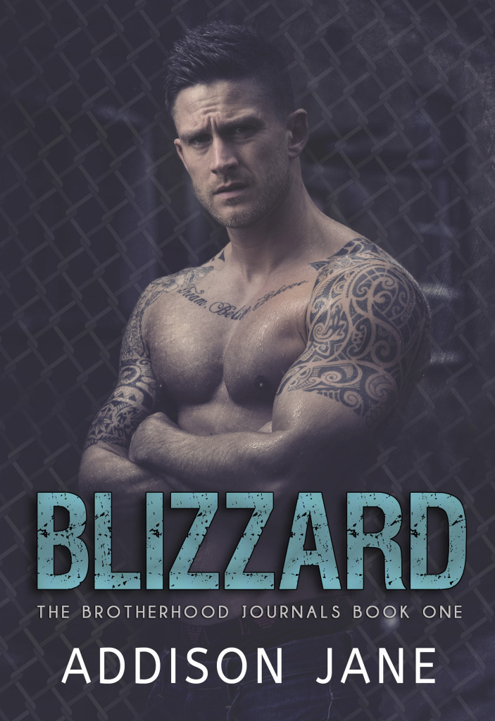The Brotherhood Journals book cover 1