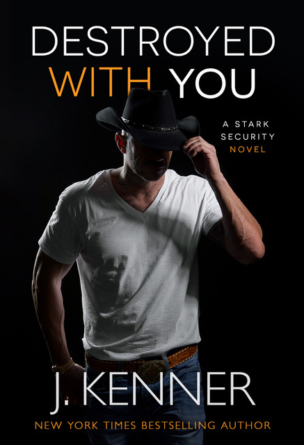 Destroyed With You book cover
