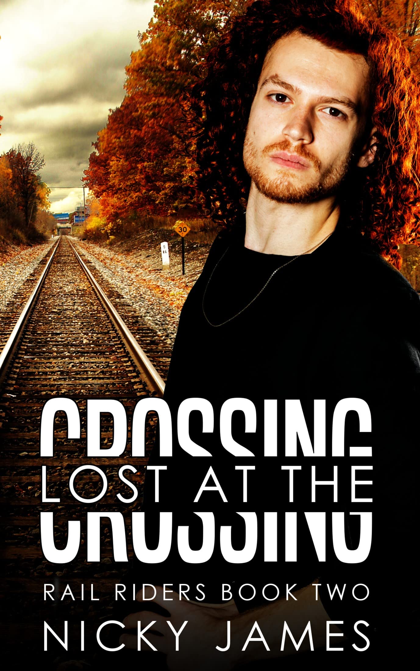 Rail Riders book cover 2