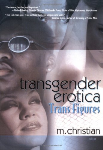 Transgender Erotica book cover