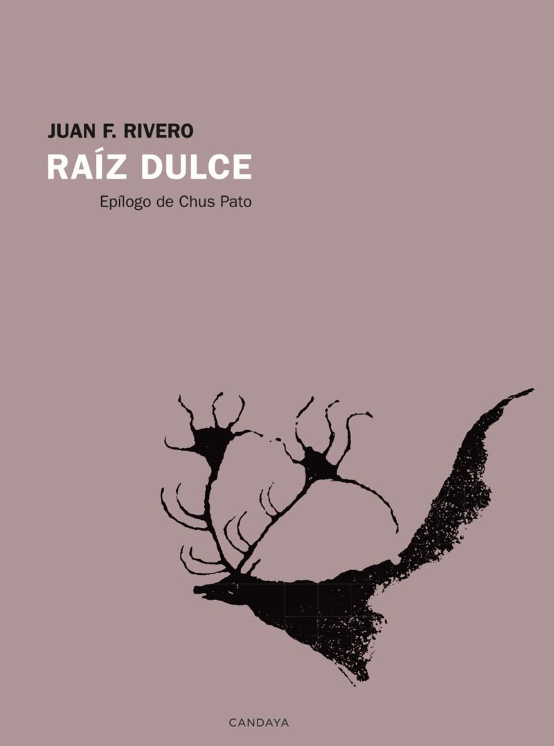 Raíz dulce book cover