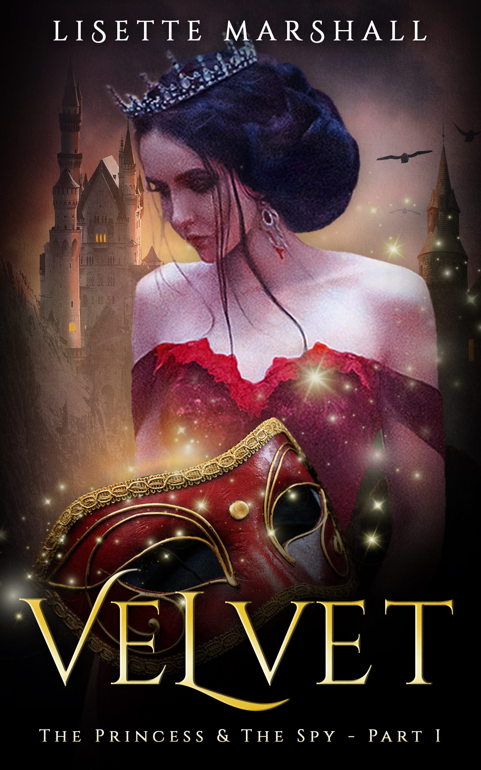 The Princess & the Spy book cover 1