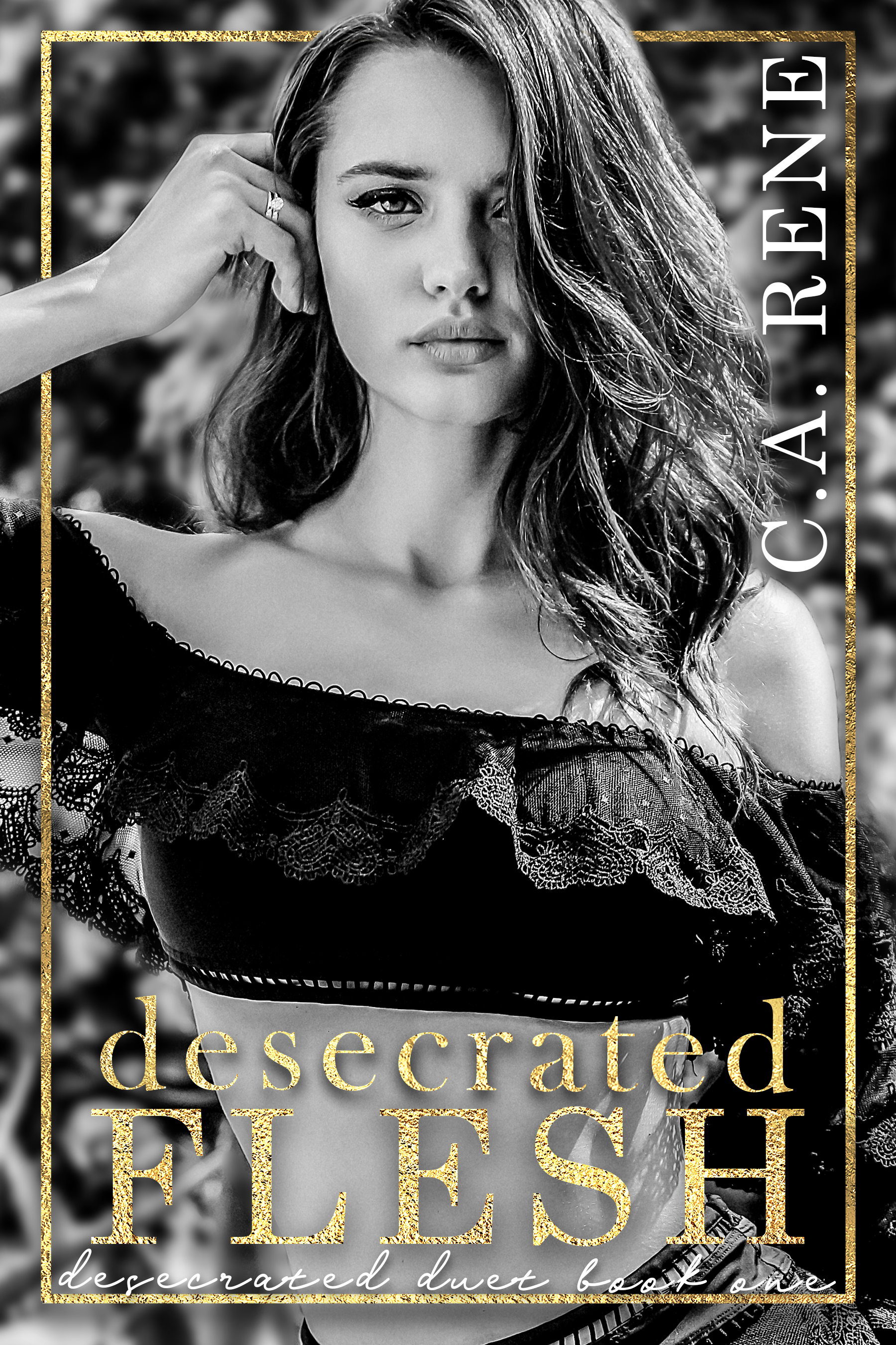 Desecrated Duet book cover 1