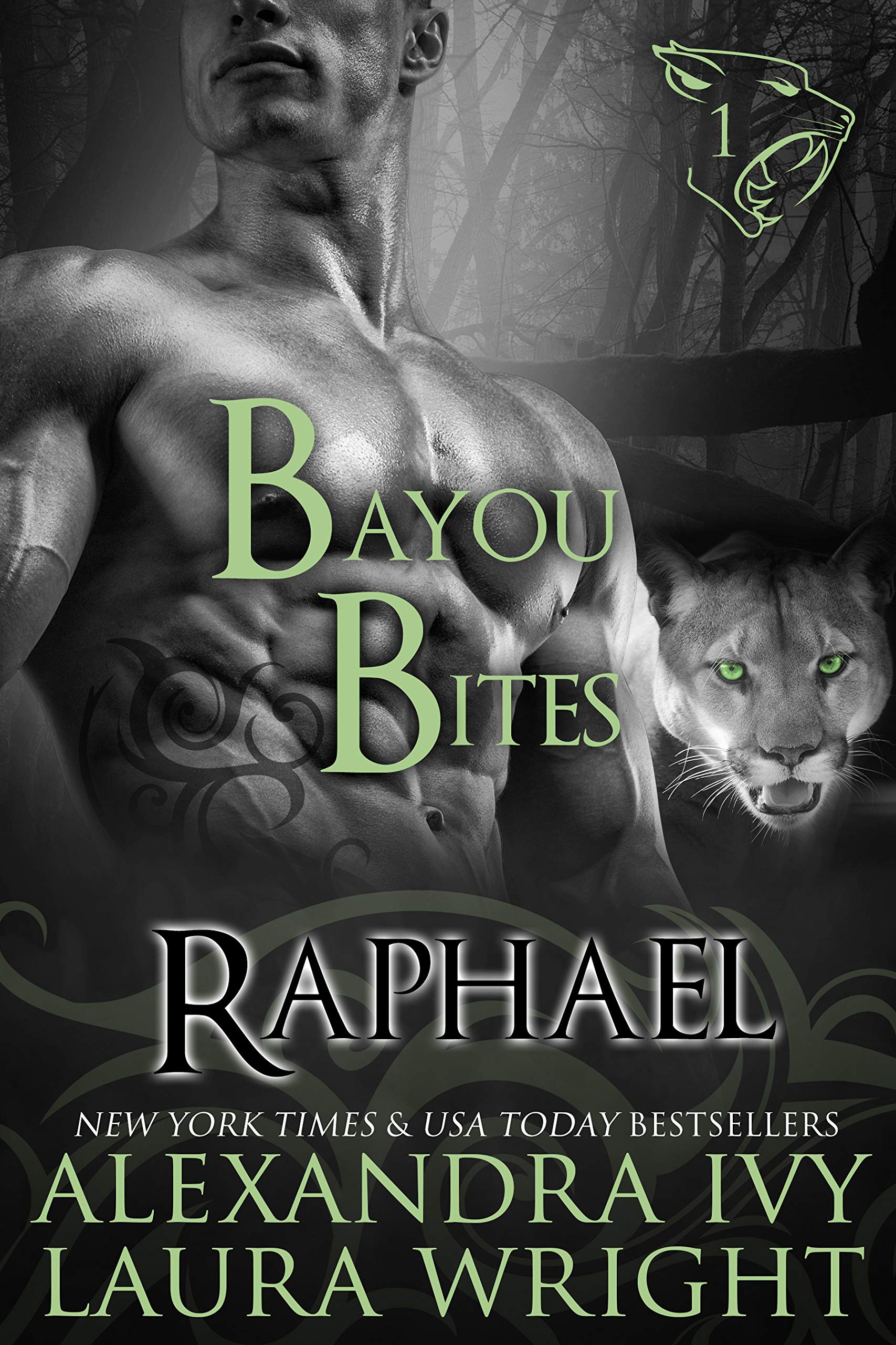 Raphael book cover