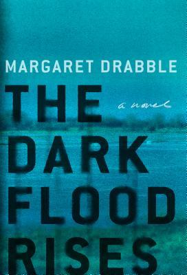 The Dark Flood Rises book cover