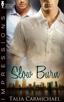 Slow Burn book cover