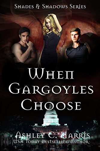 Shades & Shadows book cover 2