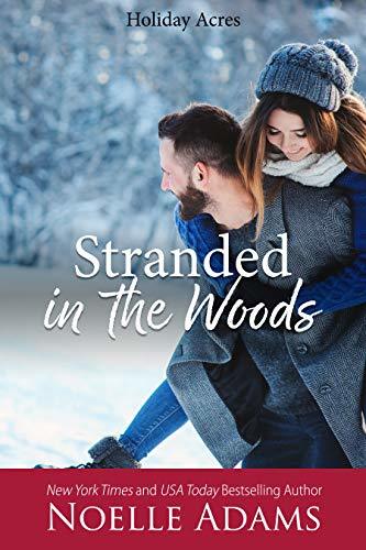 Holiday Acres book cover 3