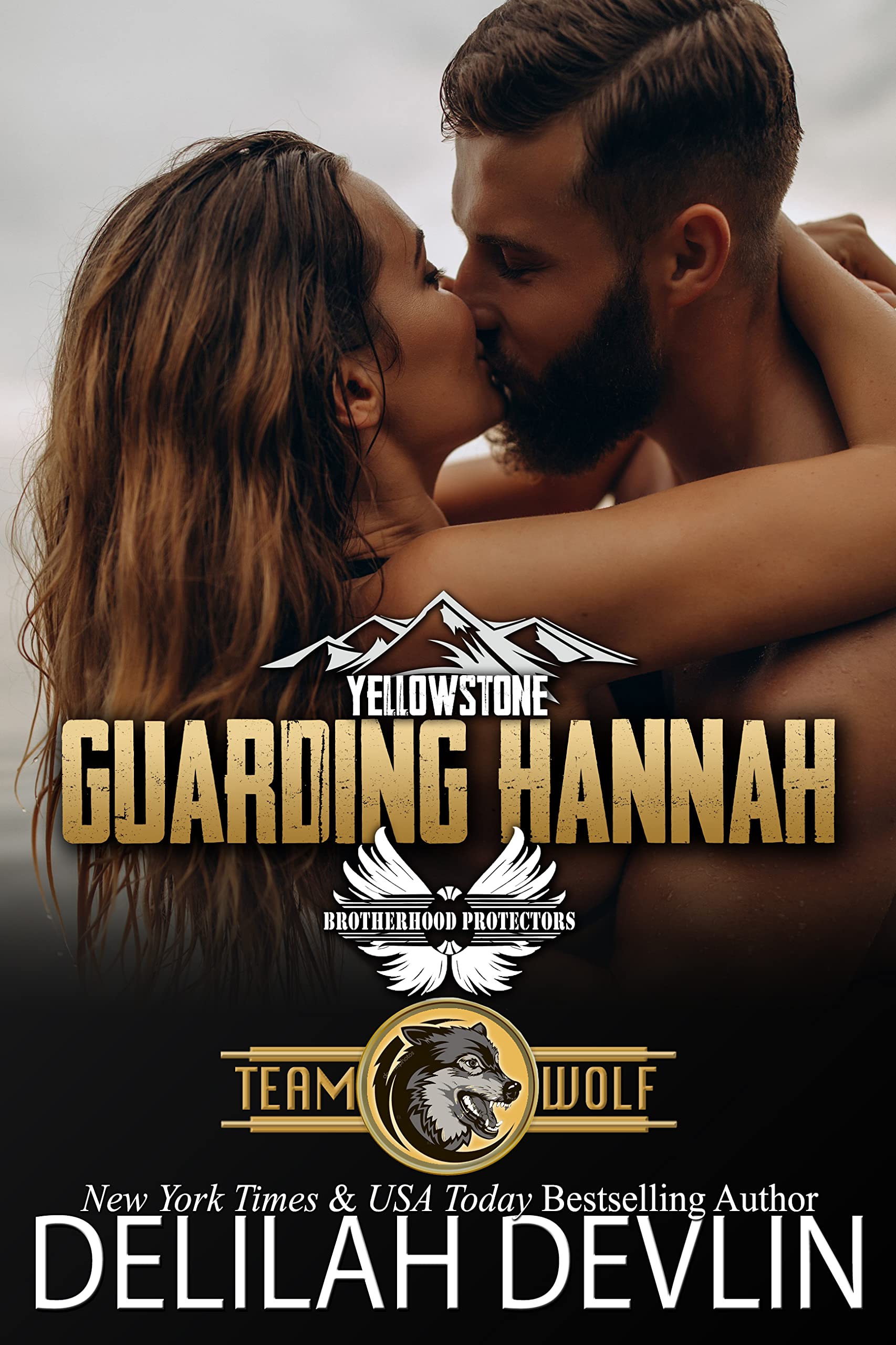 Team Wolf book cover 2