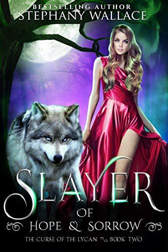 Slayer of Hope & Sorrow book cover