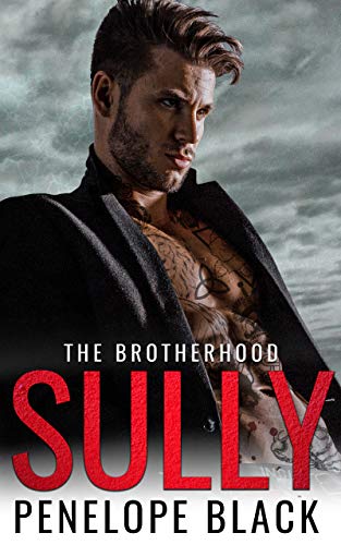 The Brotherhood book cover 3