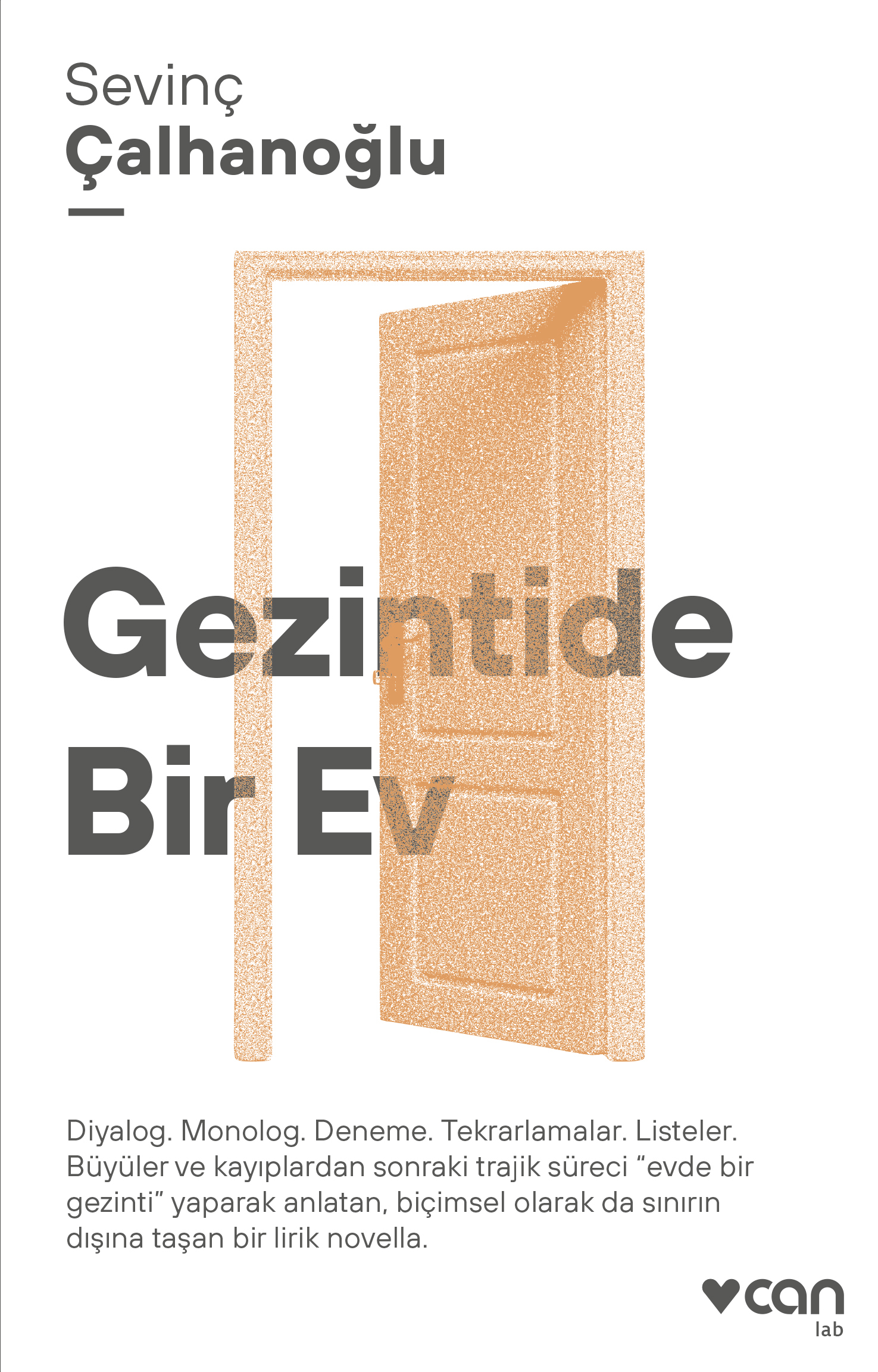 Gezintide Bir Ev book cover