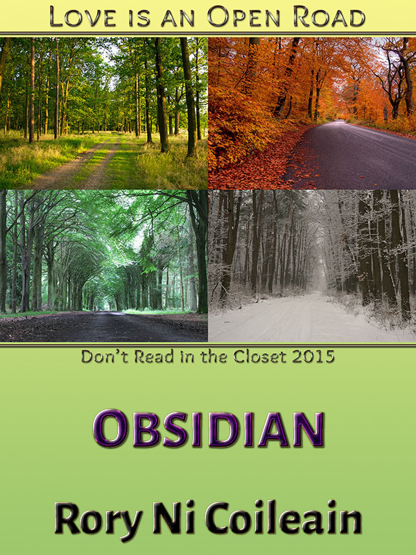 Obsidian book cover