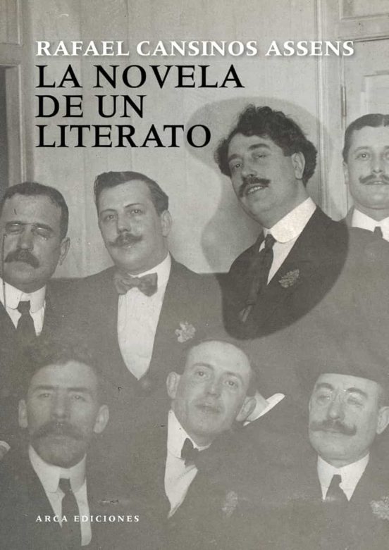 La novela de un literato book cover 2
