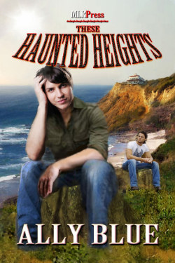 These Haunted Heights book cover