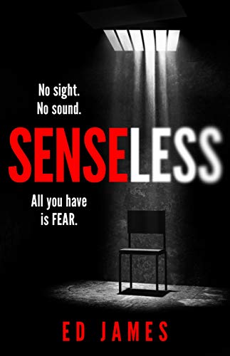 Senseless book cover