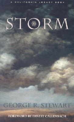 Storm book cover