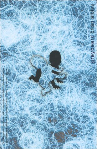 Greybeard book cover