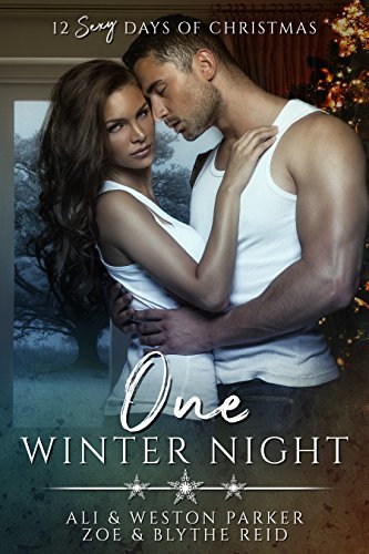 12 Sexy Days of Christmas book cover 1