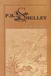 Valik lüürikat book cover