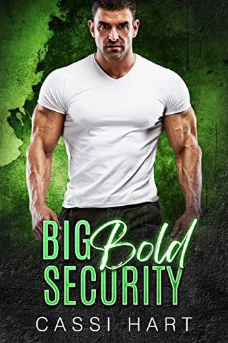Big Bold Security book cover