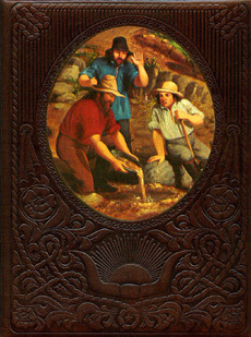 The Forty-Niners book cover