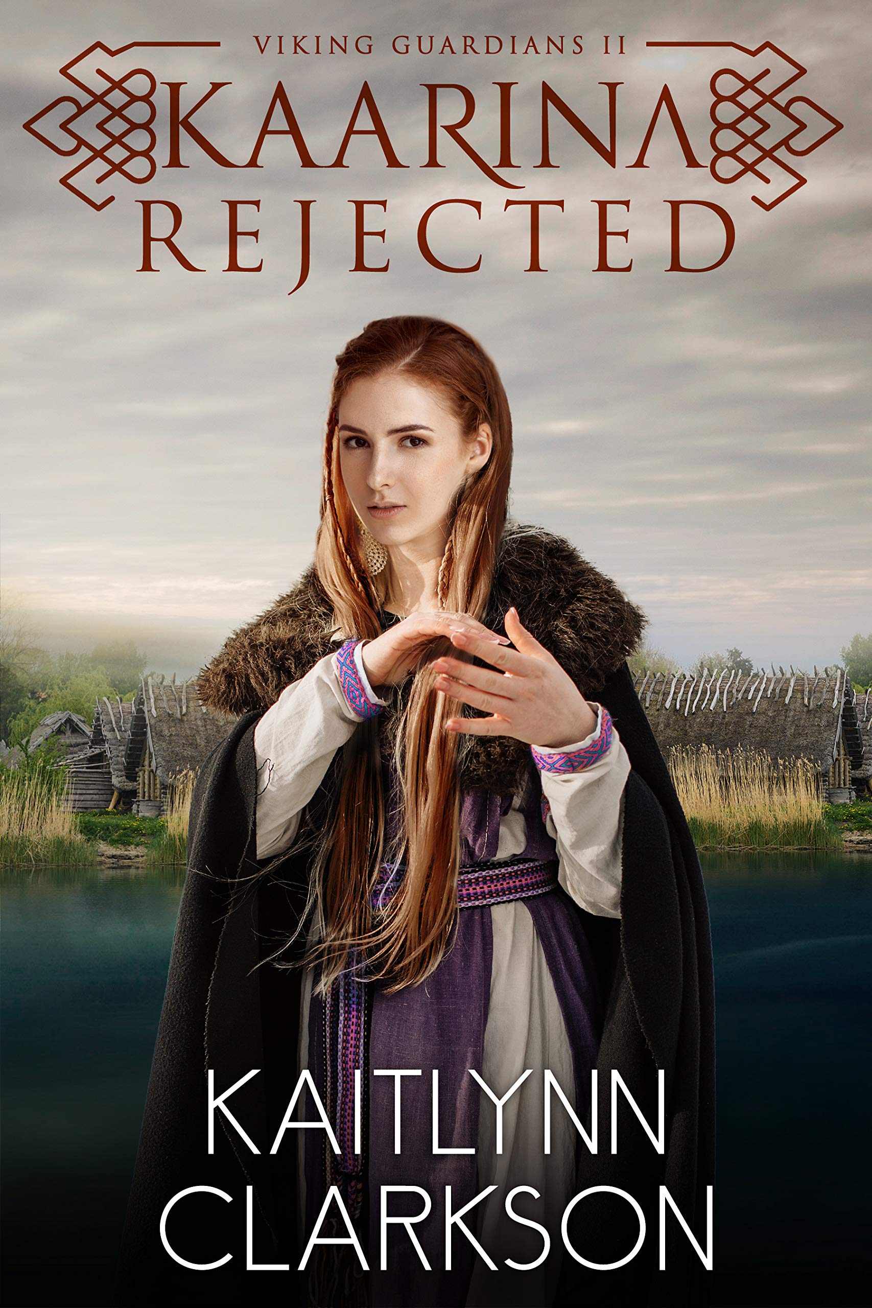 Viking Guardians book cover 2