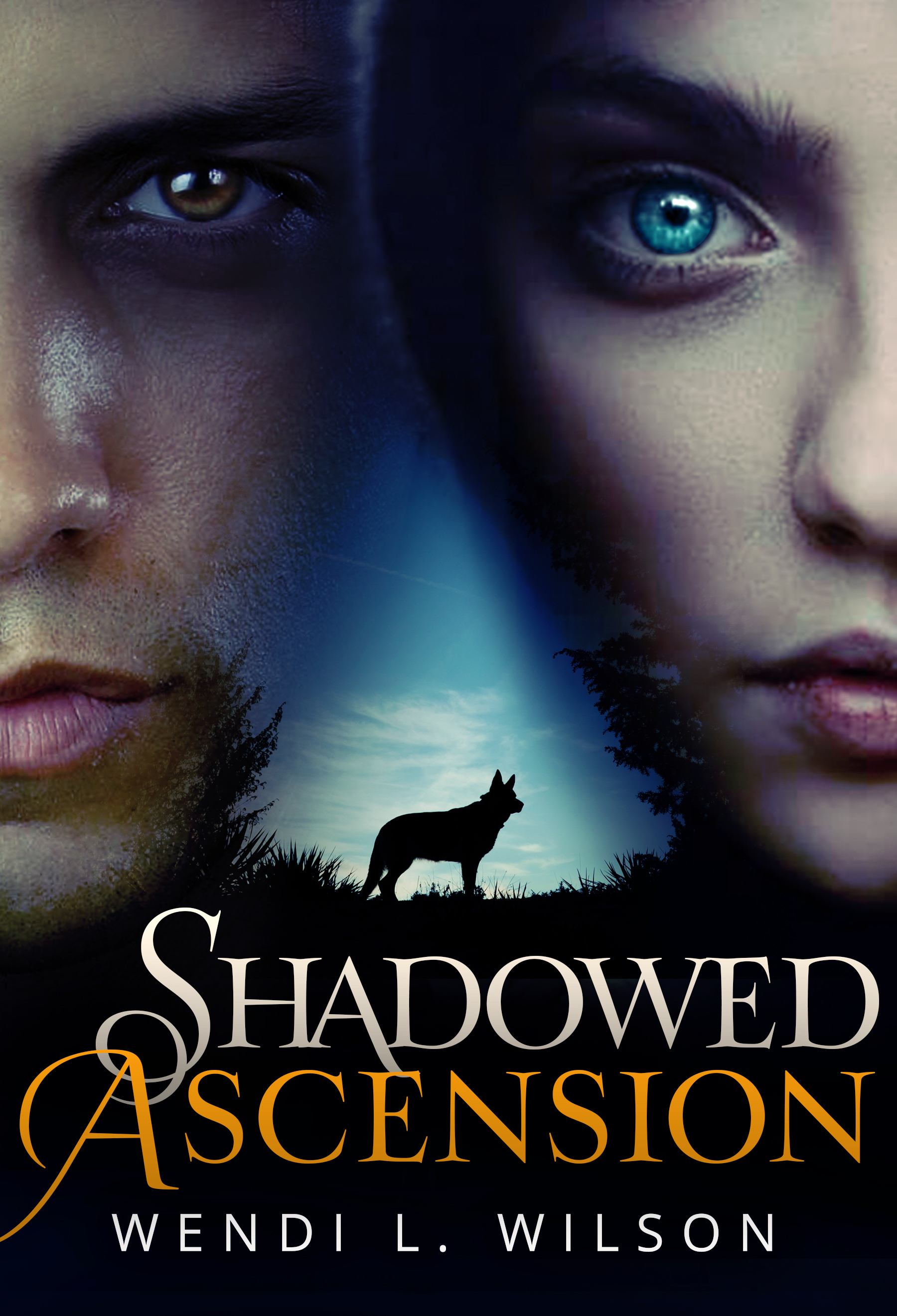 Shadowed book cover 3