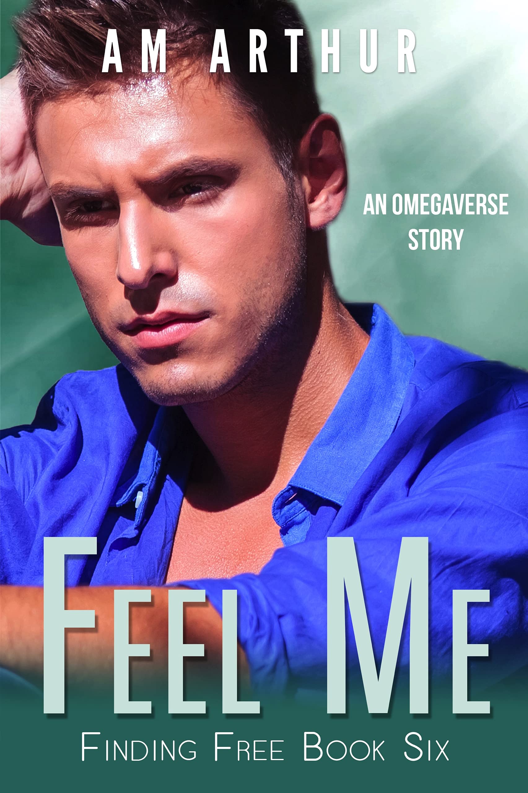 Feel Me book cover