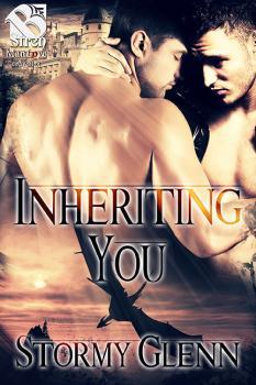 Inheriting You book cover