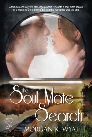 The Soul Mate Search book cover