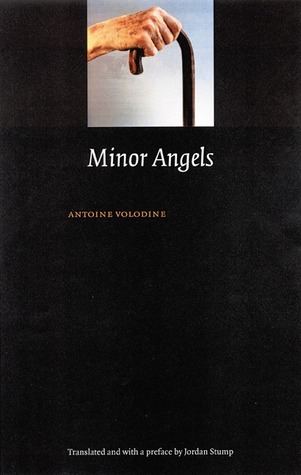 Minor Angels book cover