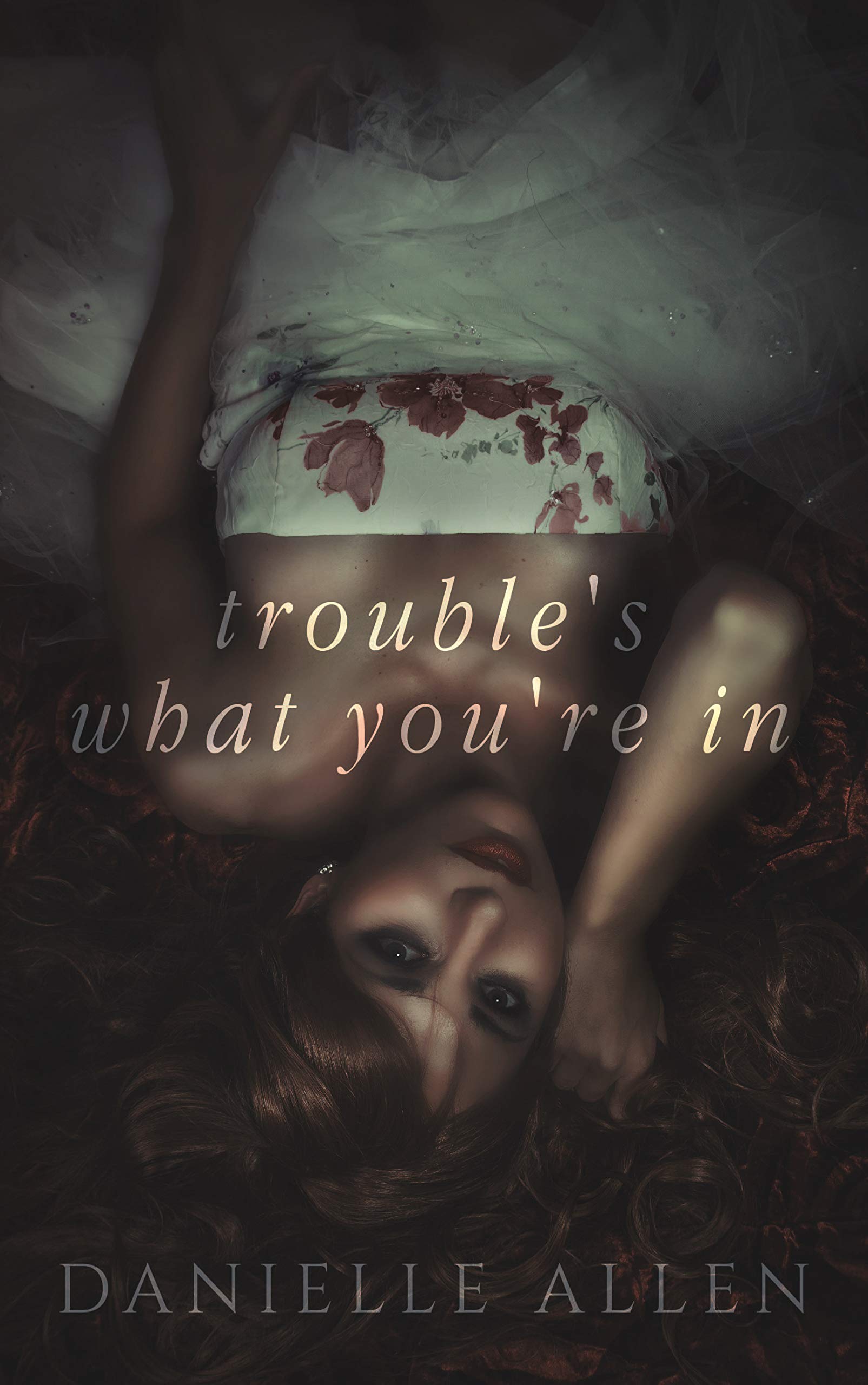 Trouble's What You're In book cover