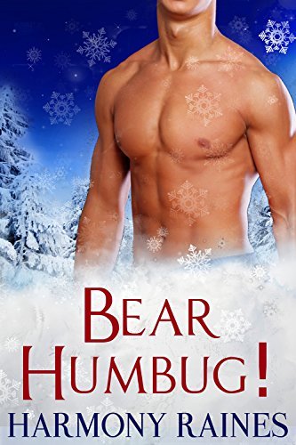 Christmas Bear Brothers book cover 3