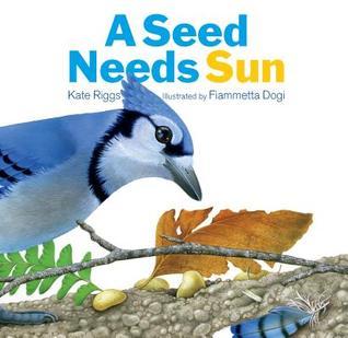A Seed Needs Sun book cover