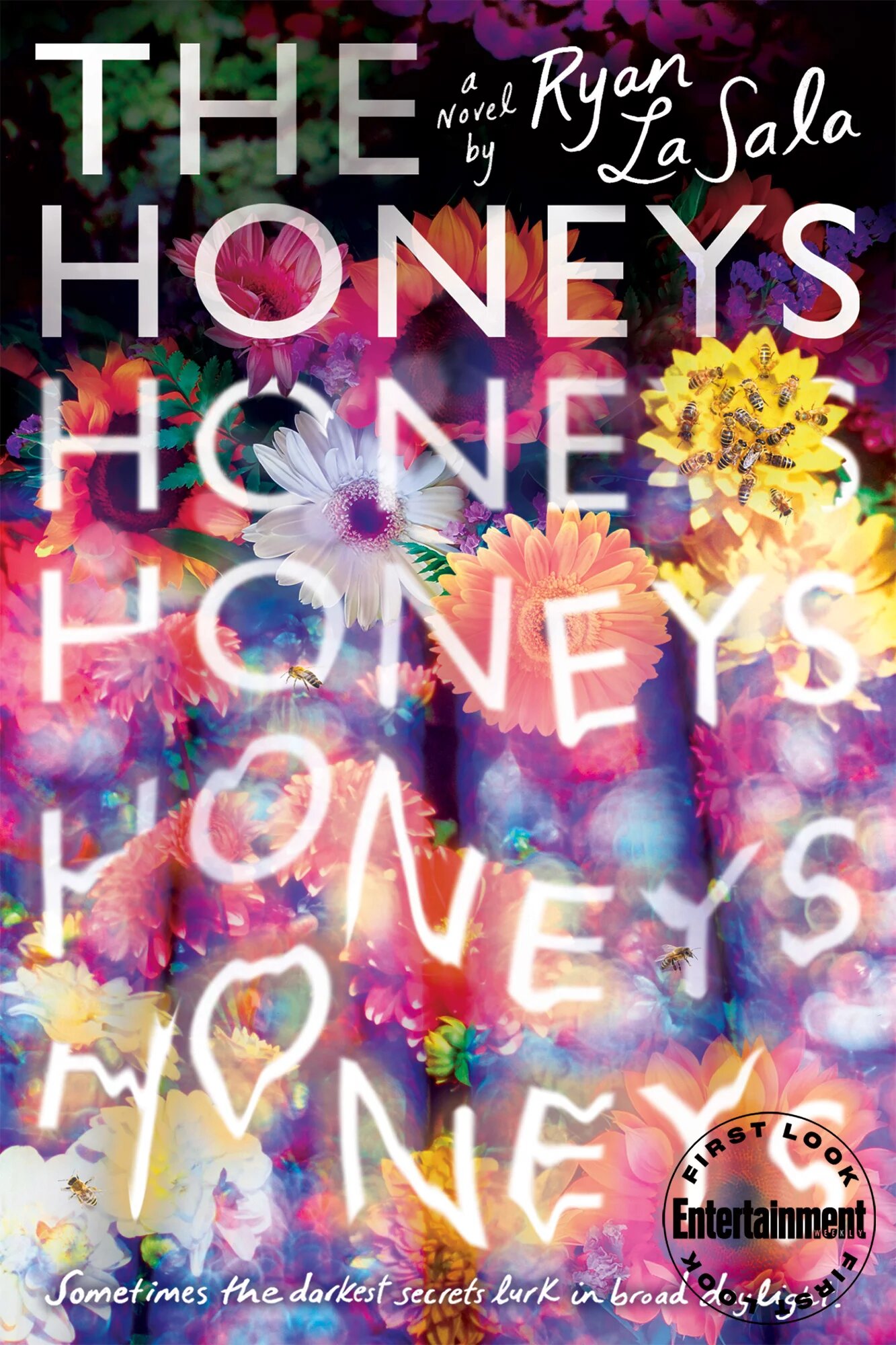 The Honeys book cover