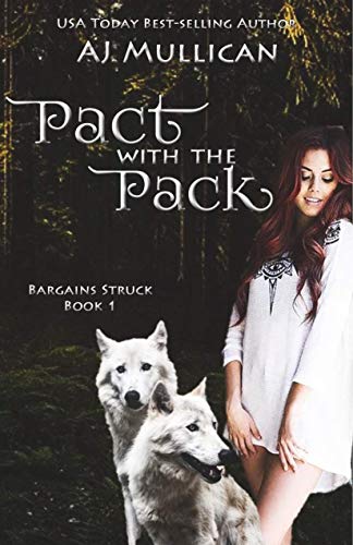 Bargains Struck book cover 1