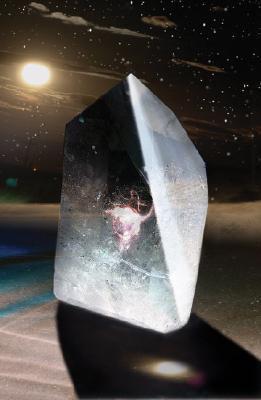 The Link book cover