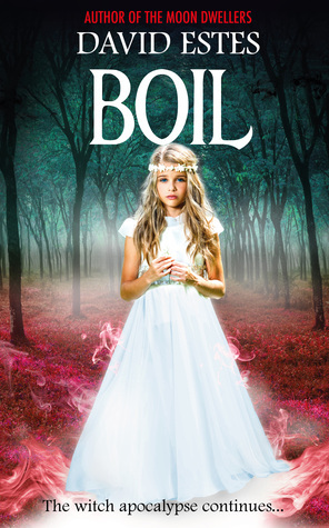 Salem's Revenge book cover 2