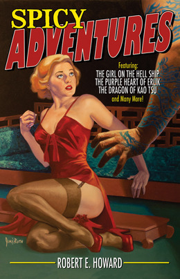 Spicy Adventures book cover