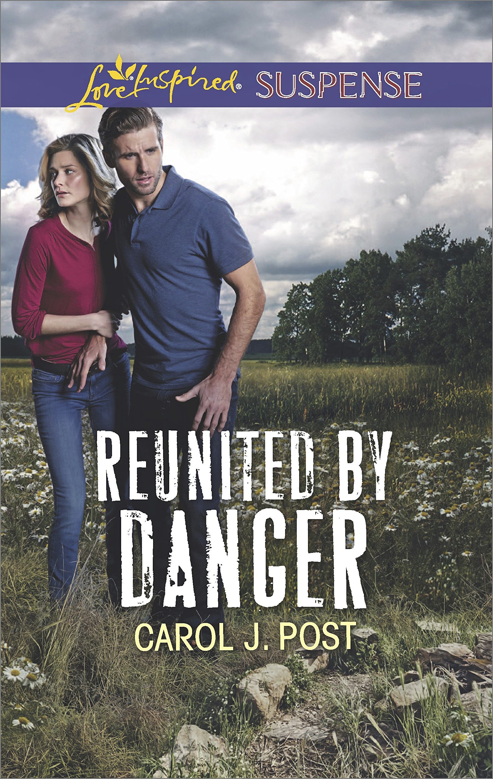 Reunited by Danger book cover