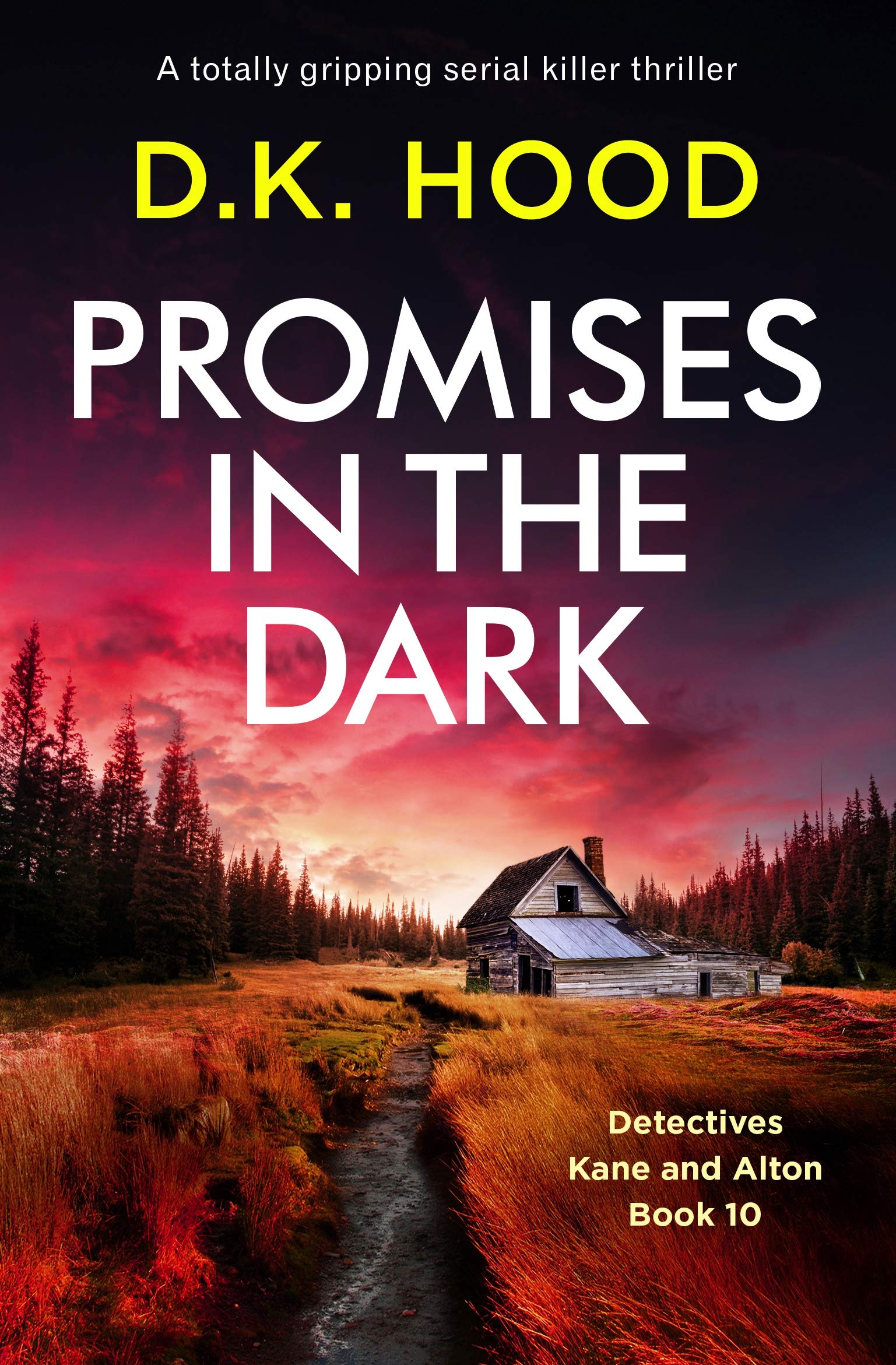 Promises in the Dark book cover